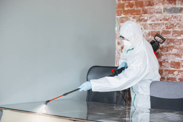 Professional Mold Inspection in Germantown, MD